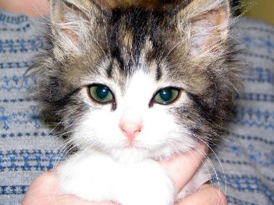 New Brunswick 2004 056.jpg